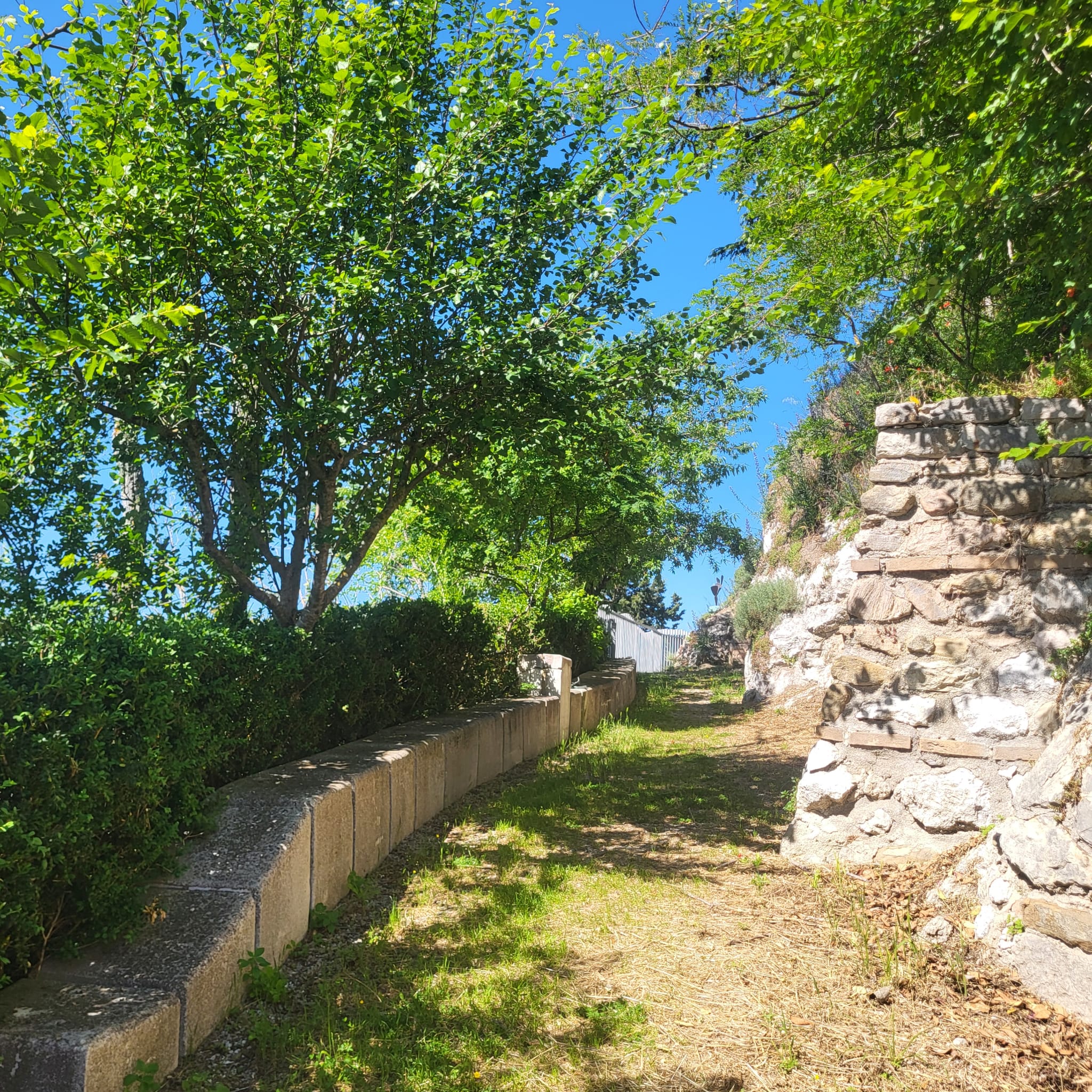 Vista dal Balcone sul Metauro